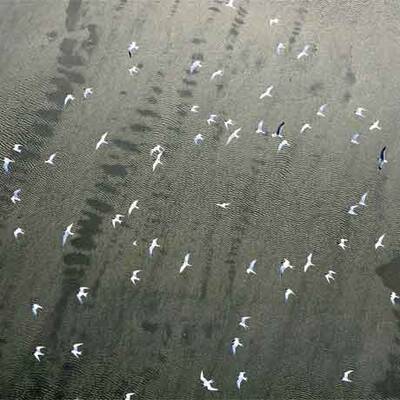 Ölpest bedroht US-Küste