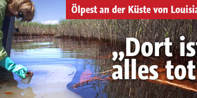 Ölpest an Küste: 