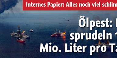 Täglich strömen bis zu 16 Mio. Liter Öl!