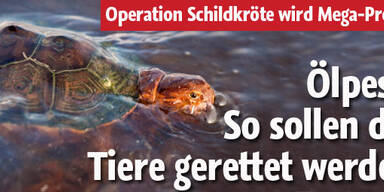 So sollen die Tiere gerettet werden