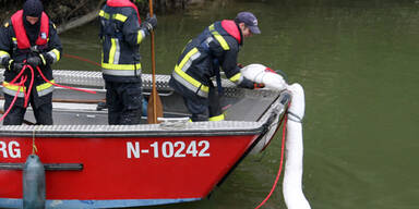 &Ouml;lteppich breitet sich auf der Donau aus