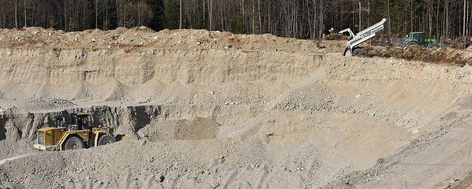 Der Wald darf nicht weiter gerodet werden.