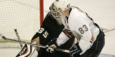 oilers ducks