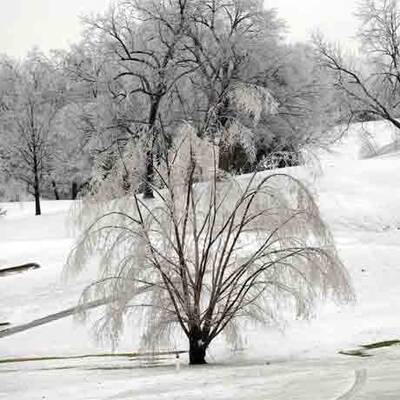 Ausnahmezustand nach Schneestürmen in USA