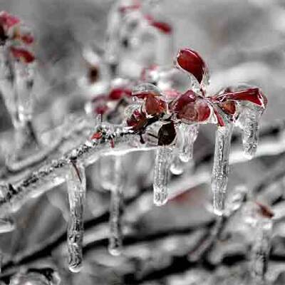 Ausnahmezustand nach Schneestürmen in USA