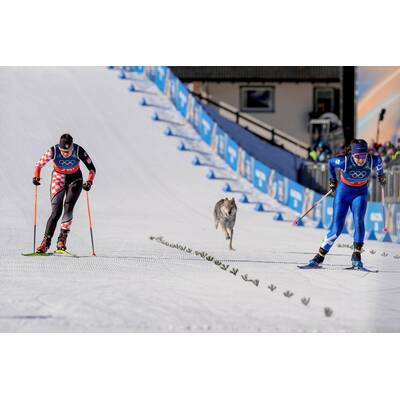 Das waren die schrägsten Olympia-Momente