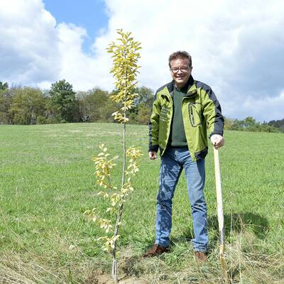OÖ wählt: Die besten Bilder
