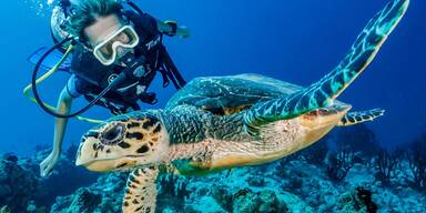 Tierisch guter Urlaub: Die sch&ouml;nsten Animal-Resorts