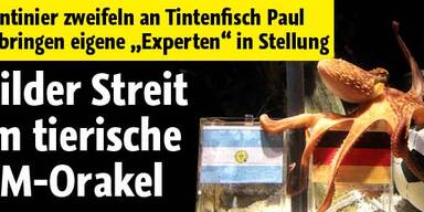 Wilder Streit um tierische WM-Orakel