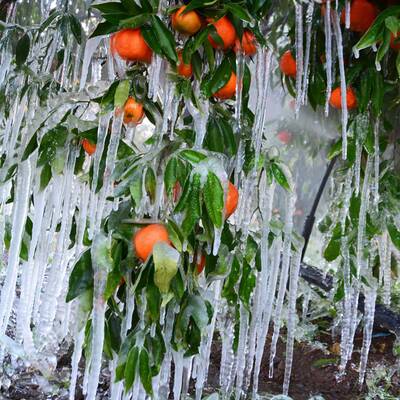 Schnee sogar in Jerusalem