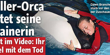Killer-Orca tötet seine Trainerin