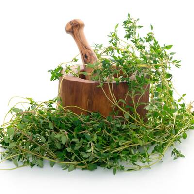 Beifuß regt die Durchblutung an