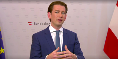 orf_zib_kurz_itv.PNG