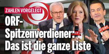 ORF-Spitzenverdiener: Das ist die ganze Liste