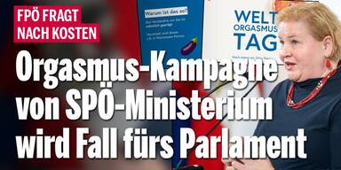 Orgasmus-Kampagne von SPÖ-Ministerium wird Fall fürs Parlament