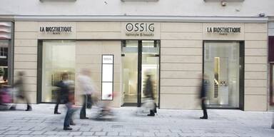 OSSIG Hairstyle & Beauty