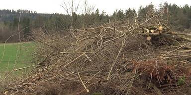 Strenge Regeln f&uuml;r Osterfeuer.