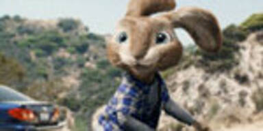 Hop - Osterhase oder Superstar?