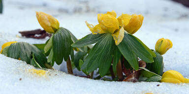 Ostern 2015: So kalt wird es in &Ouml;sterreich