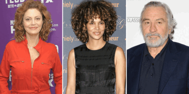 sarandon, die niro, barry