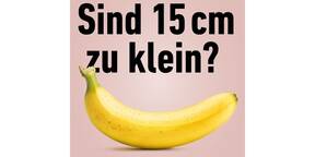 Artikel Image