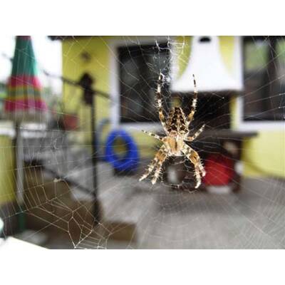 Die neuesten Urlaubsfotos