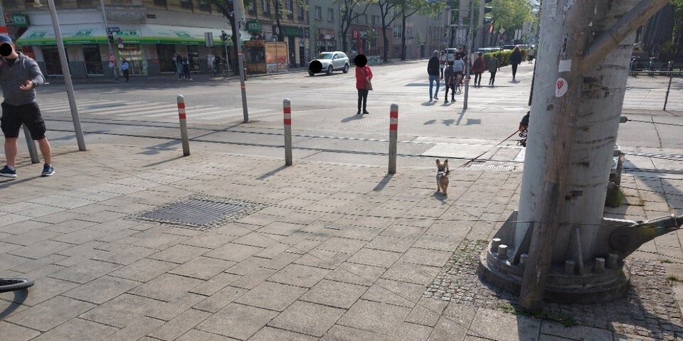 Drahtseil-Falle bei U-Bahnvorplatz in Wien