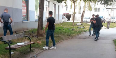 Teenie-Bande z&uuml;ndete zw&ouml;lf Supermarkt-Container an Wien-Floridsdorf