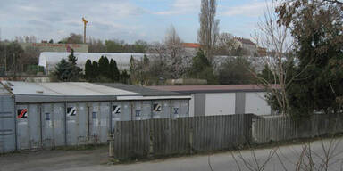 Polizei hob Drogenring in Schwechat aus