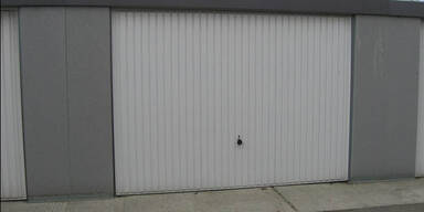 Polizei hob Drogenring in Schwechat aus