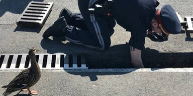 Entenk&uuml;ken Favoriten Wien