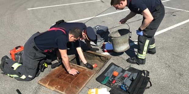 Entenküken Favoriten Wien