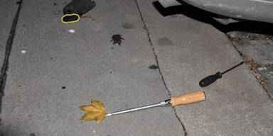 Sch&uuml;sse bei Verfolgungsjagd nach Autodieben