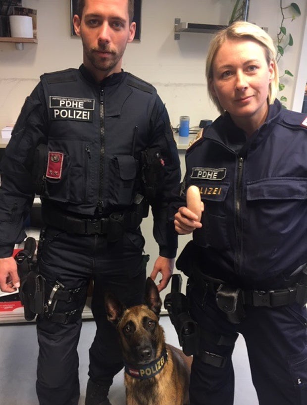 Polizeihund 'Yankee' überführte Drogendealer