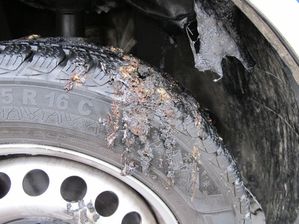 Polizeiauto angezündet