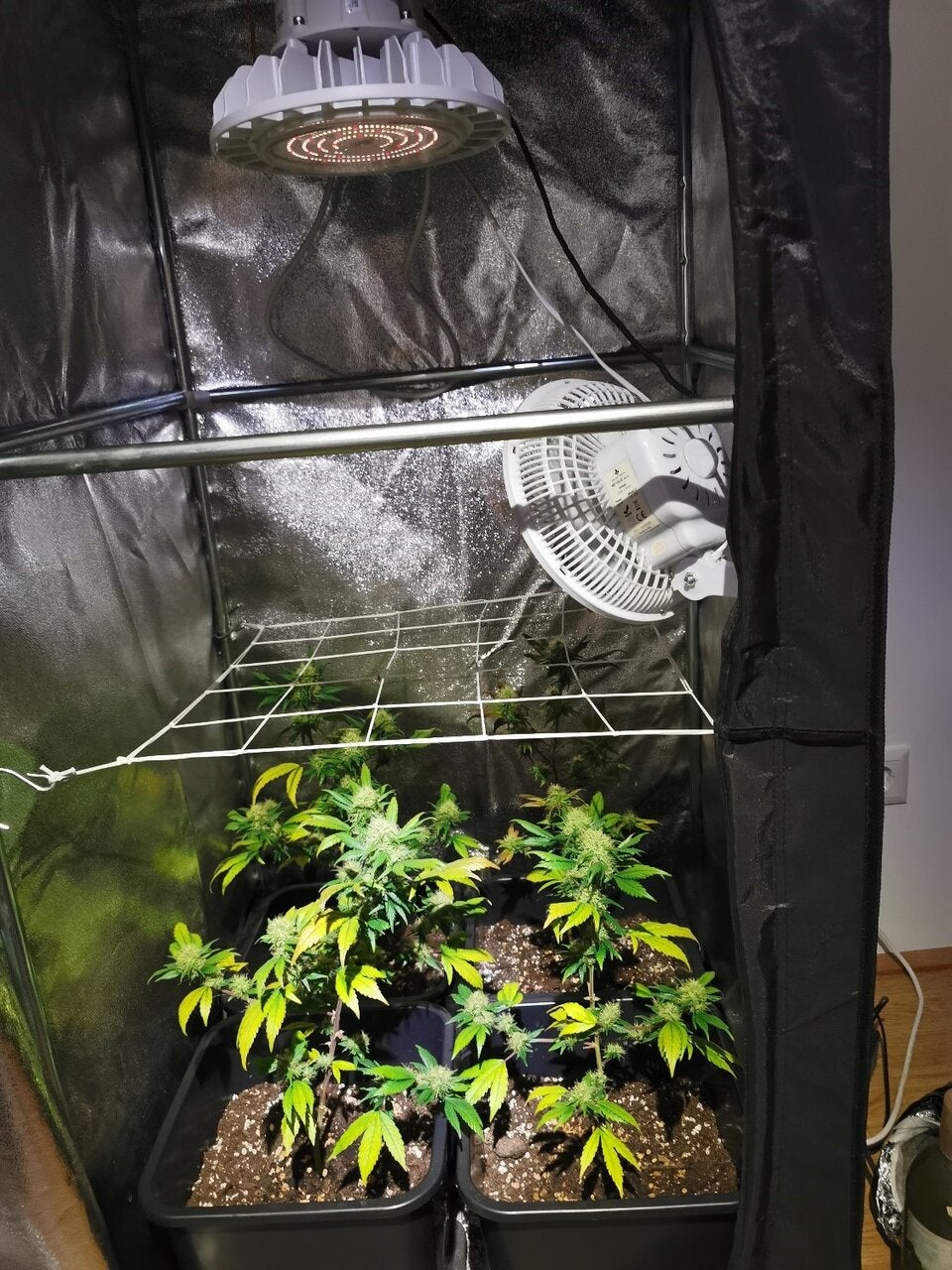 Nachbar in Wien wegen Musik mit Machete bedroht