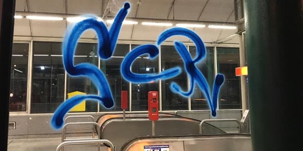 Rapid Schriftzüge Wien Festnahme