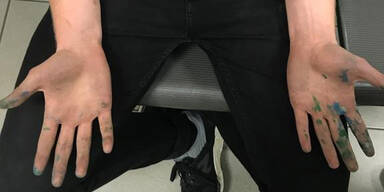 Rapid Schriftz&uuml;ge Wien Festnahme