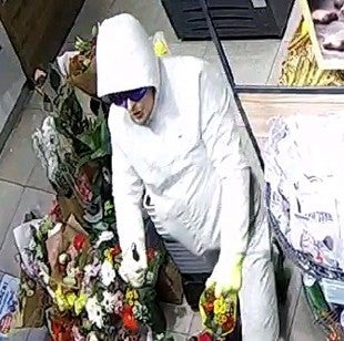 Räuber in Weiß Donaustadt