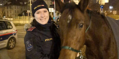 Ravenna Pferd Handelskai