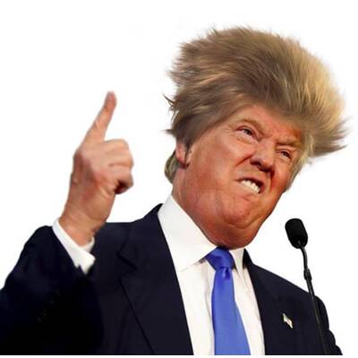 Baby Junior wird zum Internet-Hit