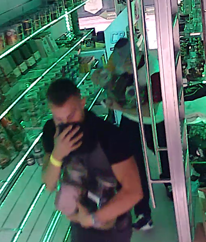 Polizei sucht nach Einbruch in Wien dieses Duo