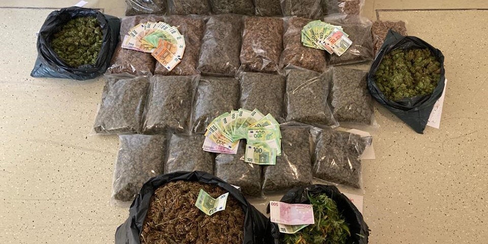 Drogen-Plantage in Wiener Lagerhallen entdeckt