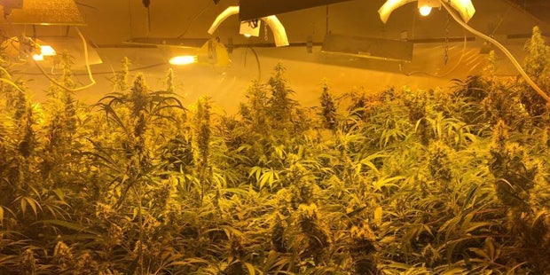 Dealer bewahrten Drogen in Hello Kitty-Dosen auf