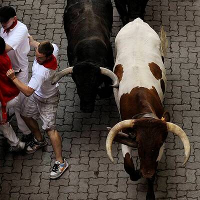 Stierhatz in Pamplona