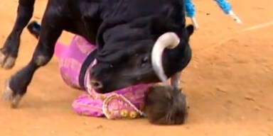 Jose Padilla Matador Stier