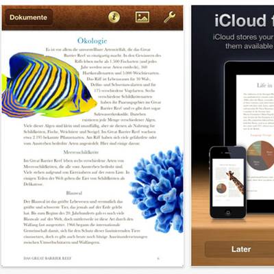 iPad-Apps des Jahres (USA)