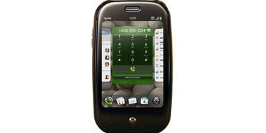 palm1