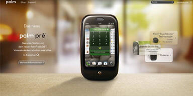 palm_neu2