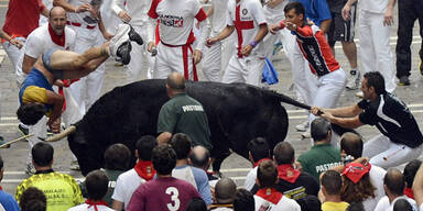 Stier rammte Touristen Hörner in Unterleib